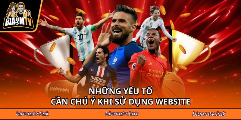 Những yếu tố cần chú ý khi sử dụng website 
